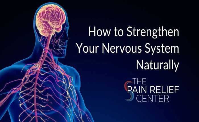 Nervous System Care