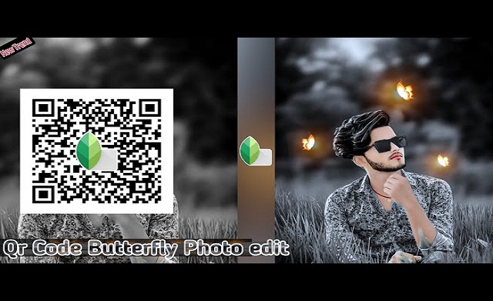 snapseed qr codes