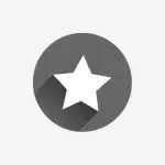 Blooket Favorite Icon