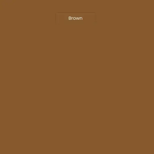 Brown Color blook