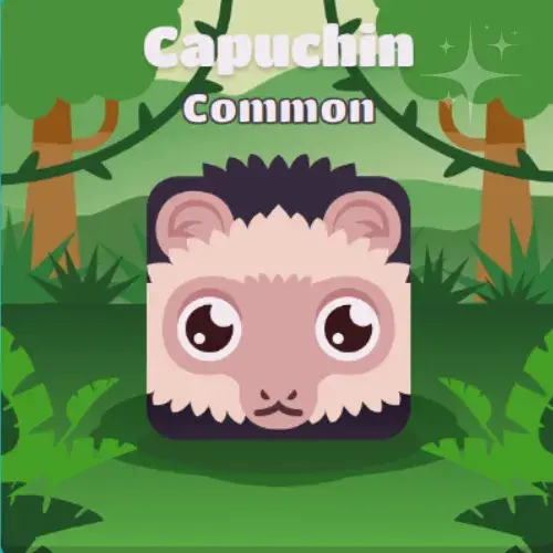 Capuchin Blooket