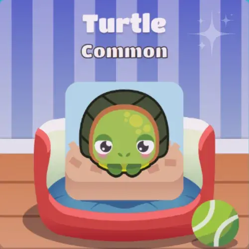 Turtle Blooket